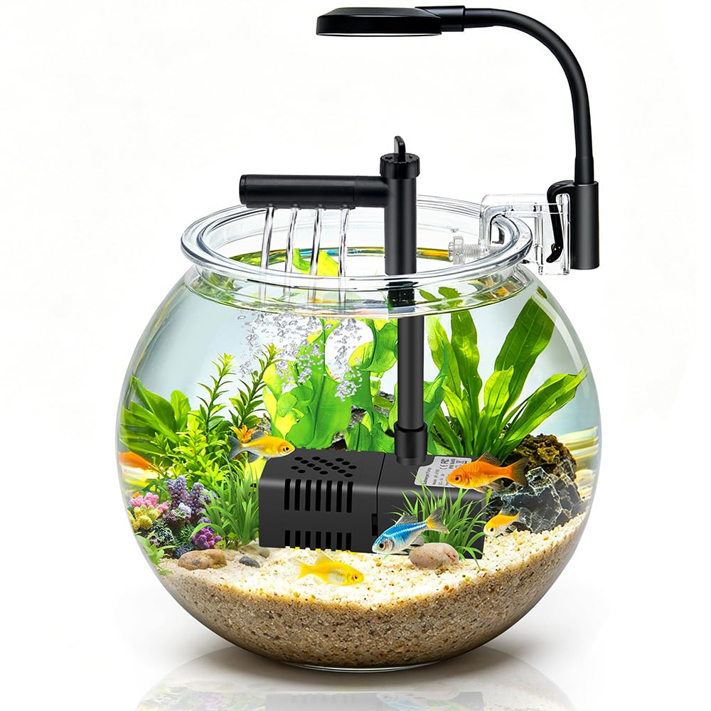 1 Gallon Plastic Aquarium Starter Kit with USB Filtration and Lighting D827557
