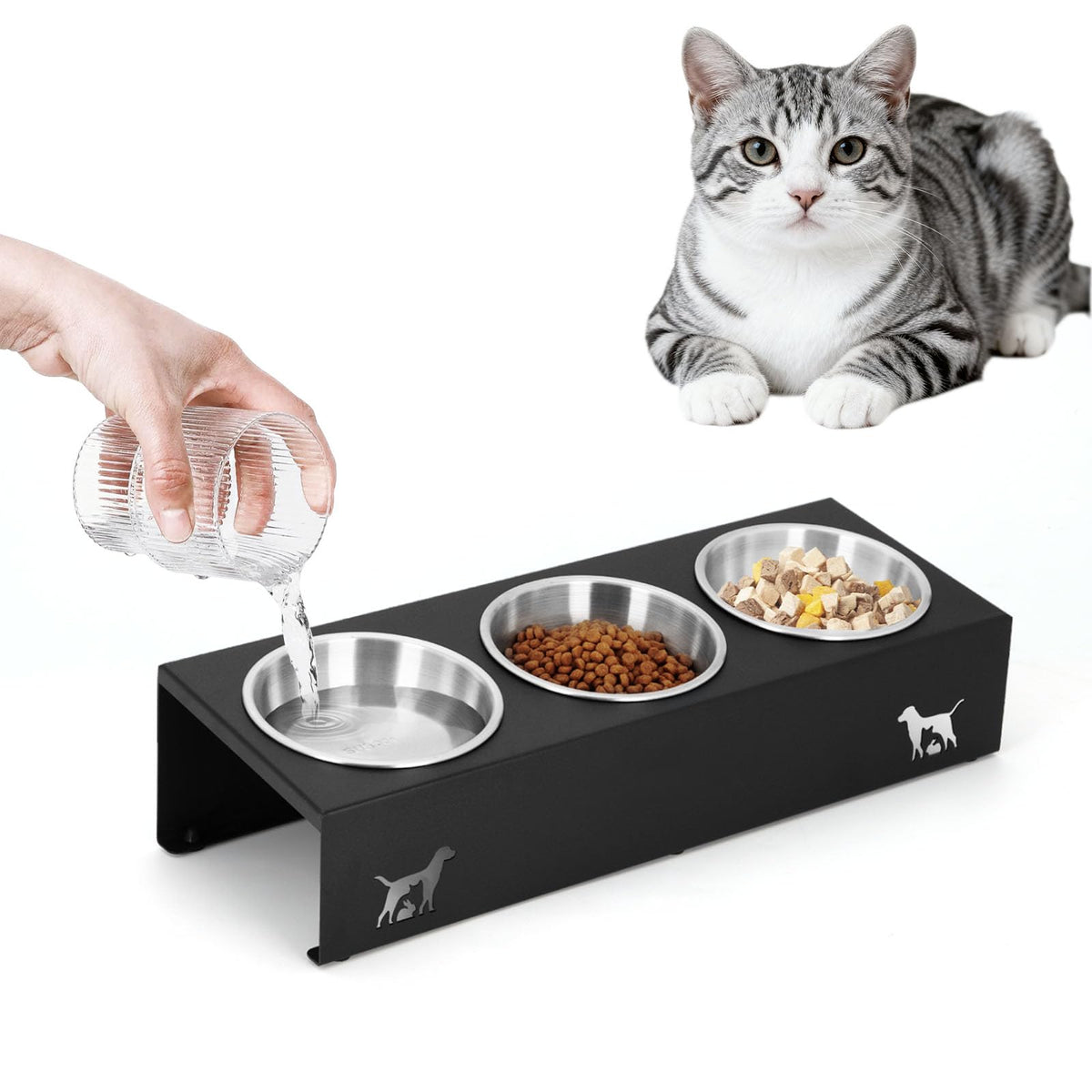 15° Tilted Stainless Steel Cat Bowls 3 Pack B80028