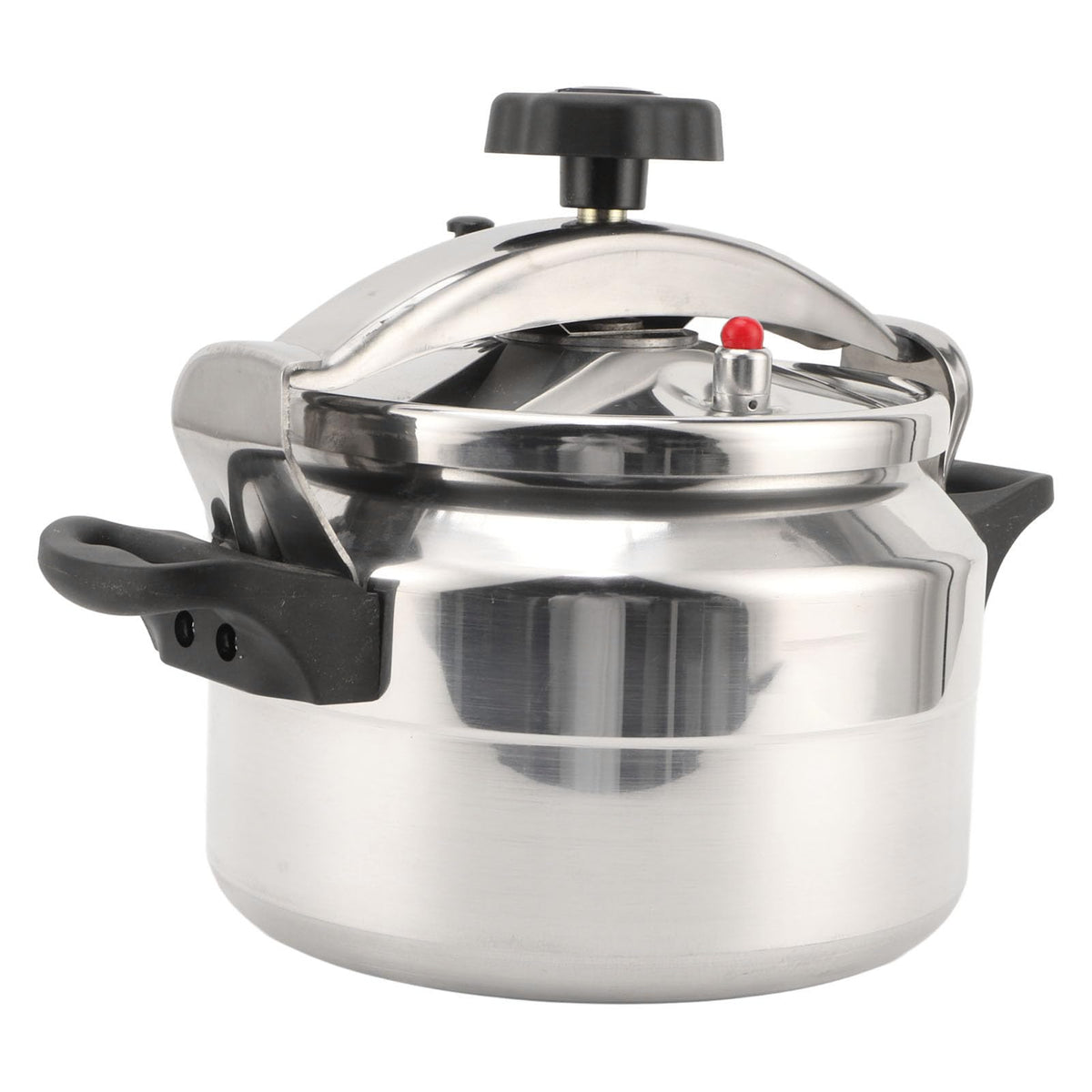 3L Stainless Steel Pressure Canner O19694