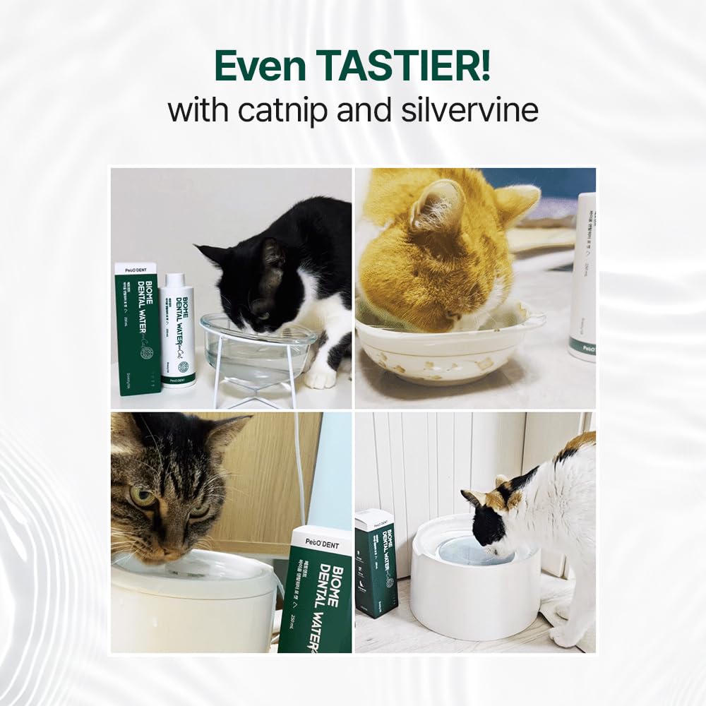 Dental Water Additive for Cats 8.45 fl oz F61689
