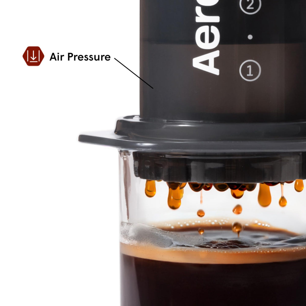 Coffee Press R5994
