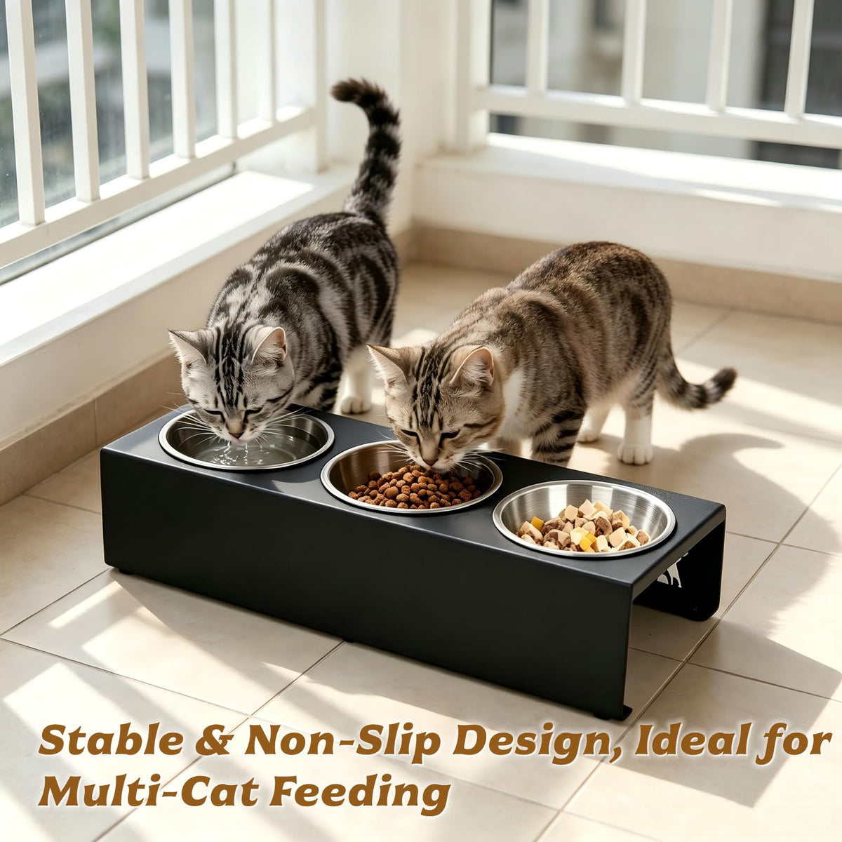 15° Tilted Stainless Steel Cat Bowls 3 Pack B80028