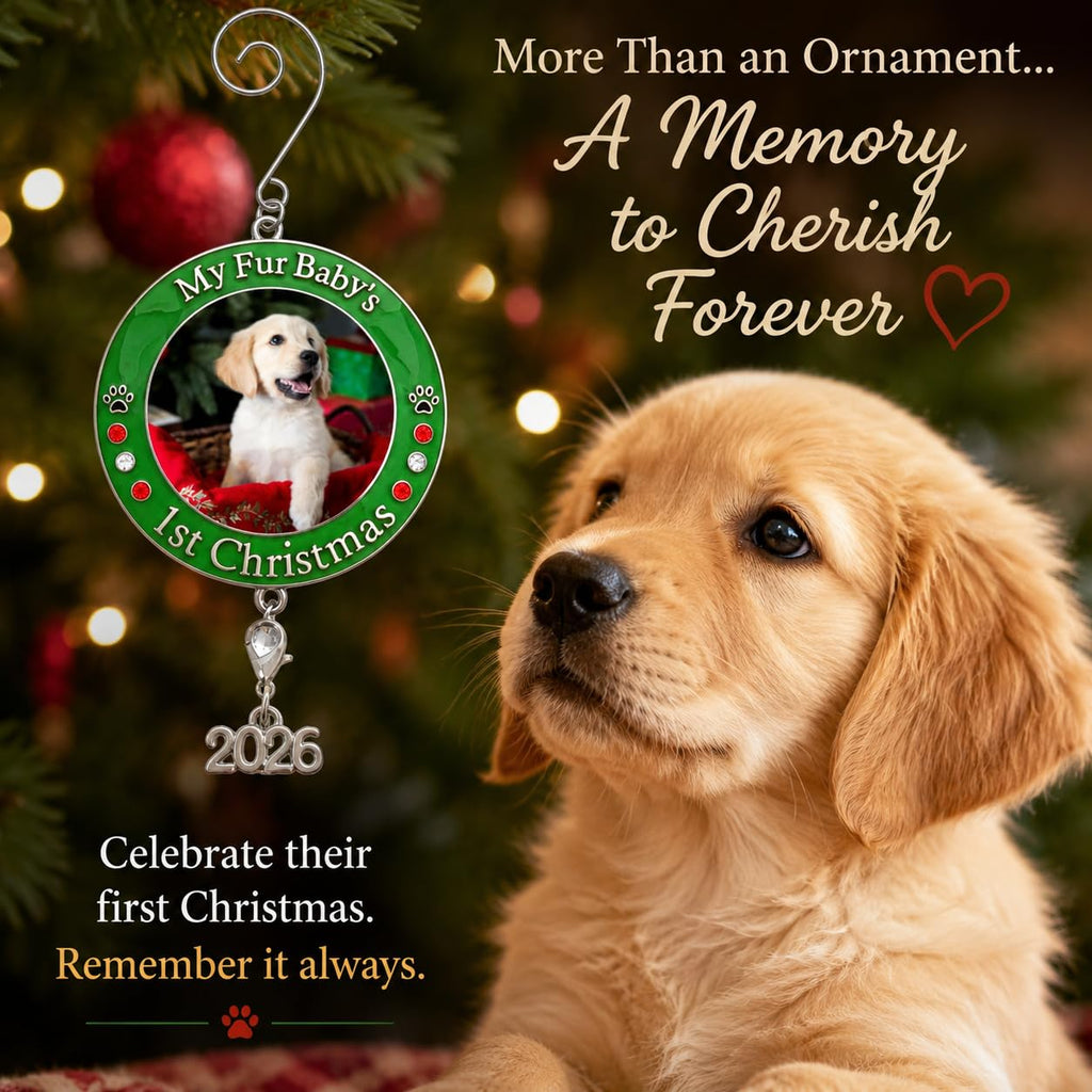 Dog Christmas Photo Ornament 3-Pack 3 Inch V27153