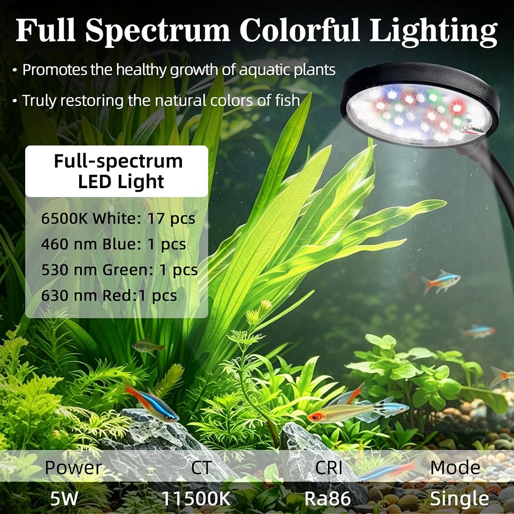 1 Gallon Plastic Aquarium Starter Kit with USB Filtration and Lighting D827557