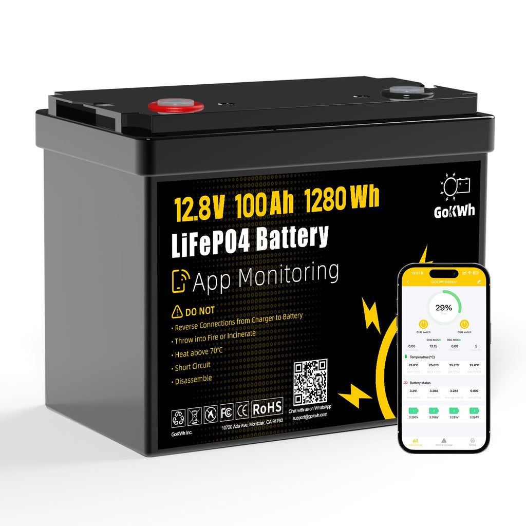 12V 100Ah LiFePO4 Lithium Battery F7444