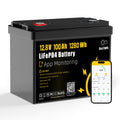 12V 100Ah LiFePO4 Lithium Battery F7444
