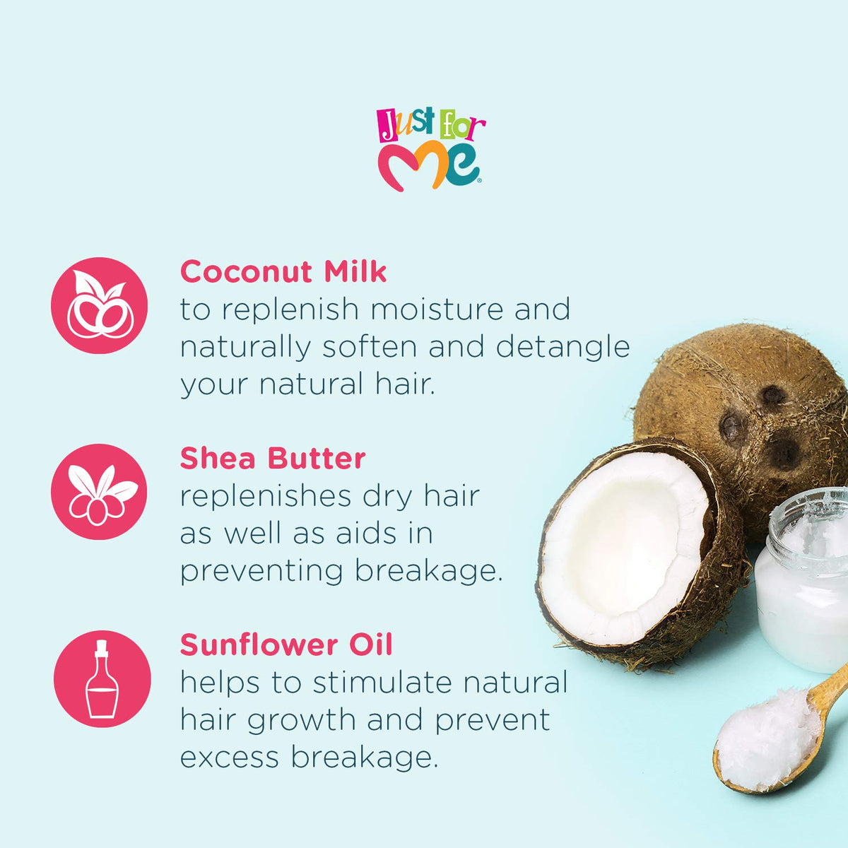 Leave-In Conditioner with Coconut Milk, Shea Butter & Vitamin E, 10 Ounce P245