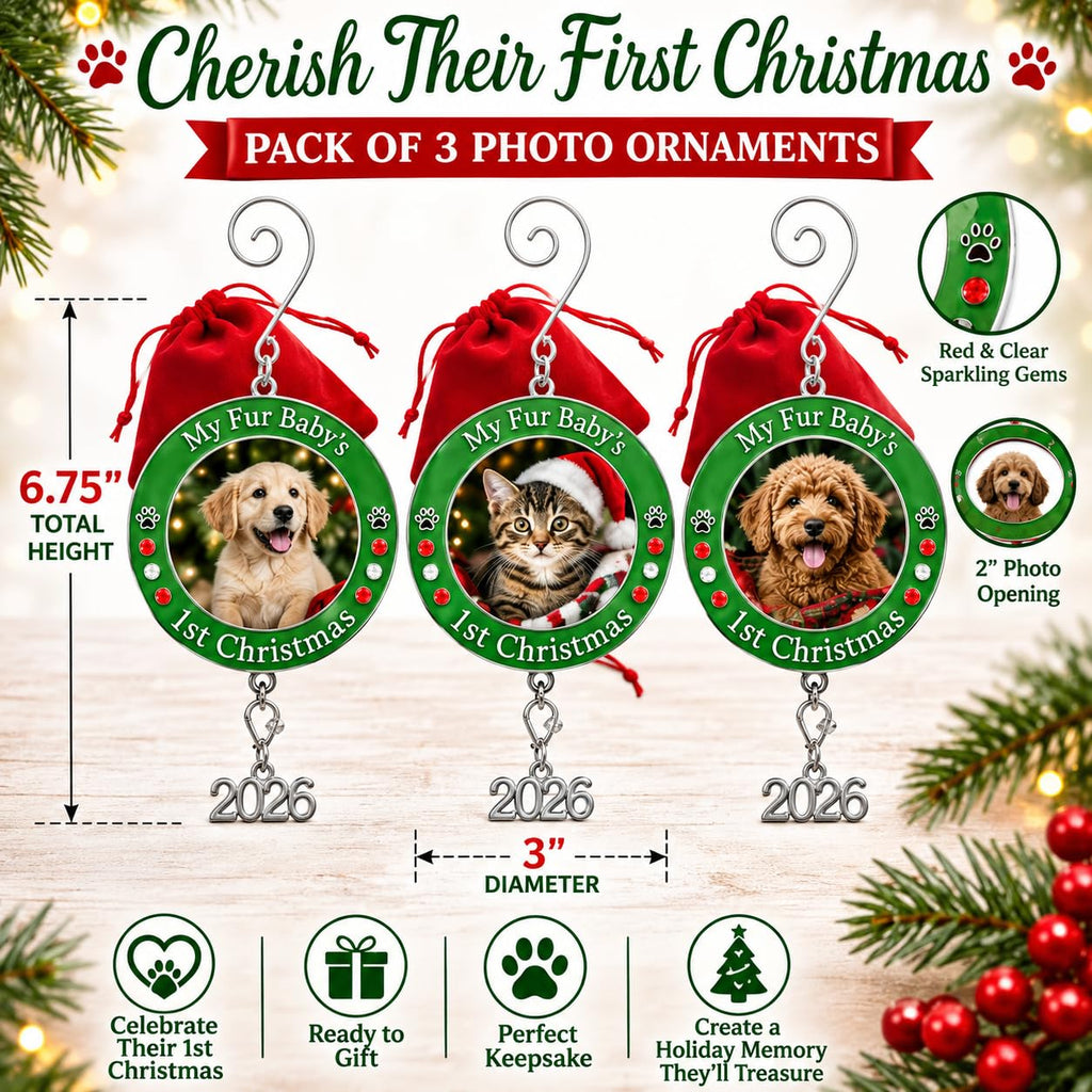 Dog Christmas Photo Ornament 3-Pack 3 Inch V27153