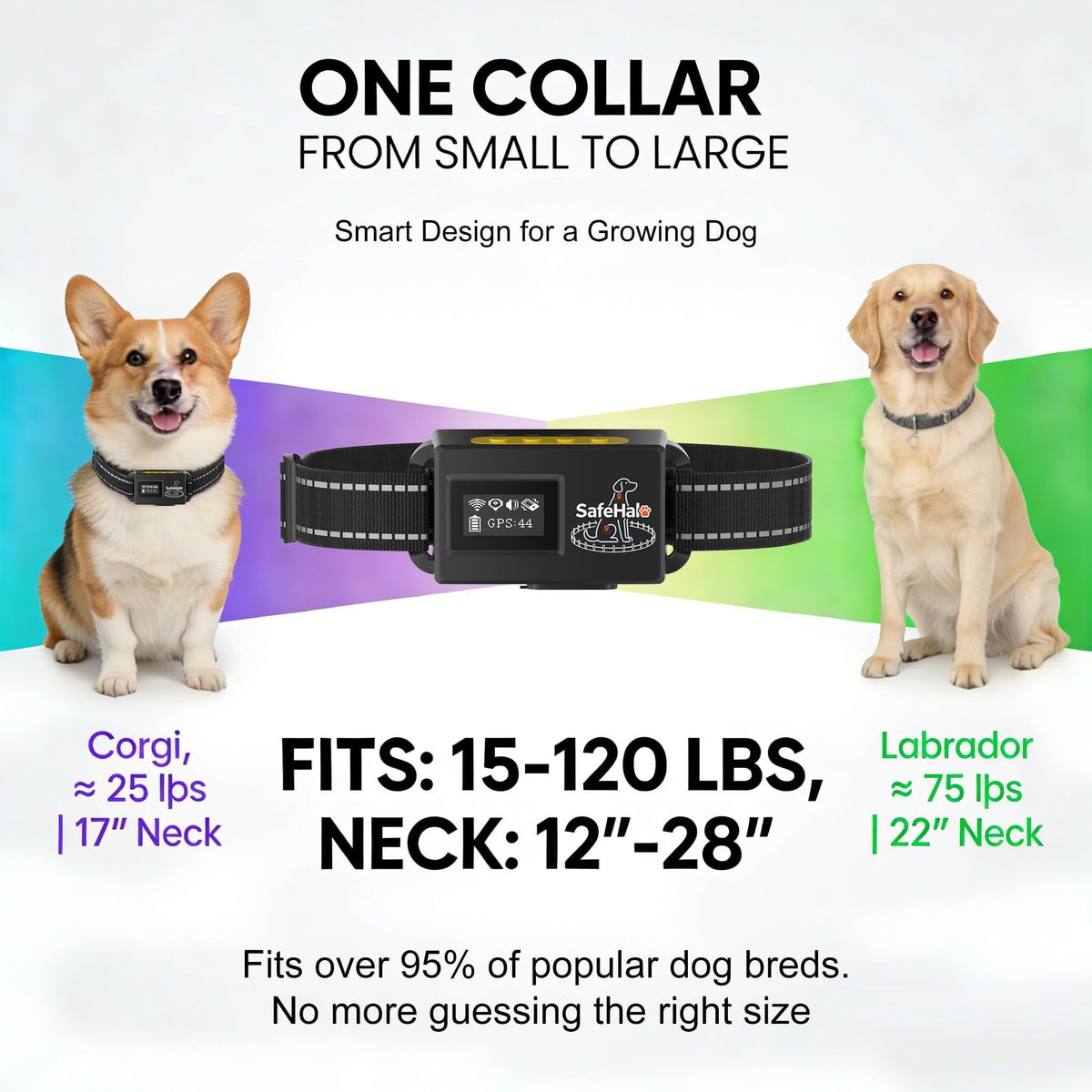 Wireless GPS Dog Fence Collar, 65–9,840 ft Radius, IPX7 Waterproof A8660