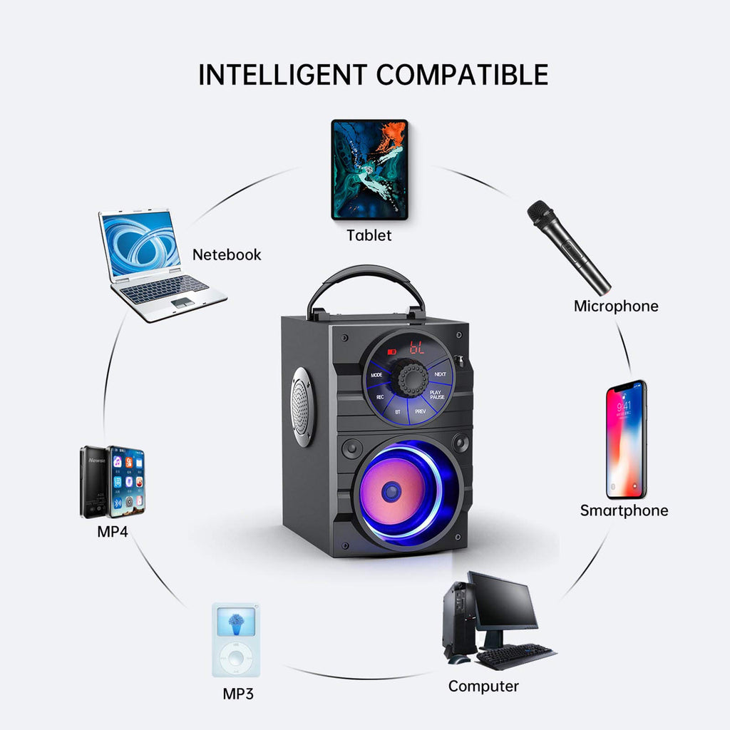 Portable Big Bluetooth Speakers with Light, Wireless with Subwoofer, FM Radio, LED Lights, EQ, Booming Bass, Bluetooth 4.2 Stereo Loud Outdoor/Indoor Retro, for Home, Camping, Travel, Black Y564