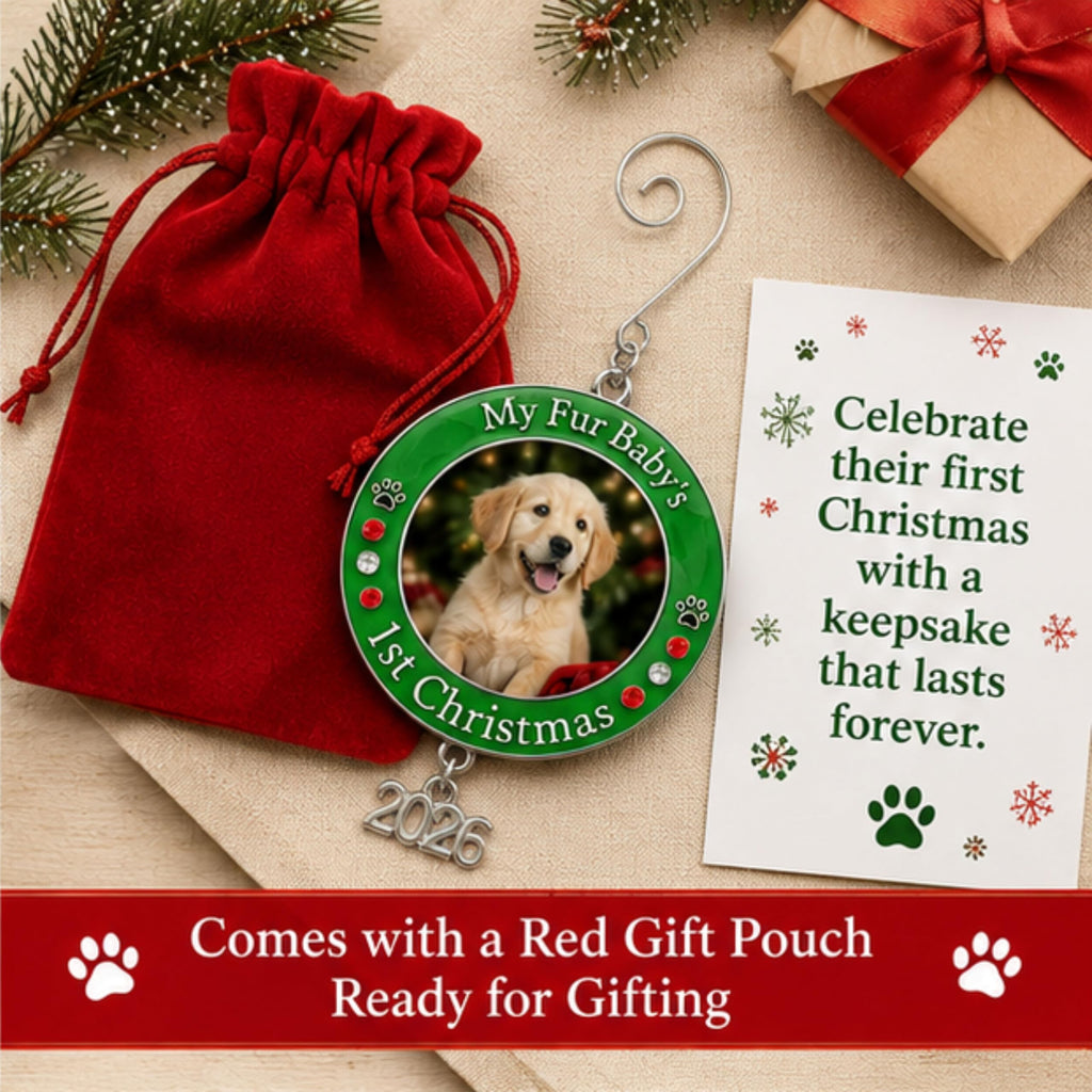 Dog Christmas Photo Ornament 3-Pack 3 Inch V27153