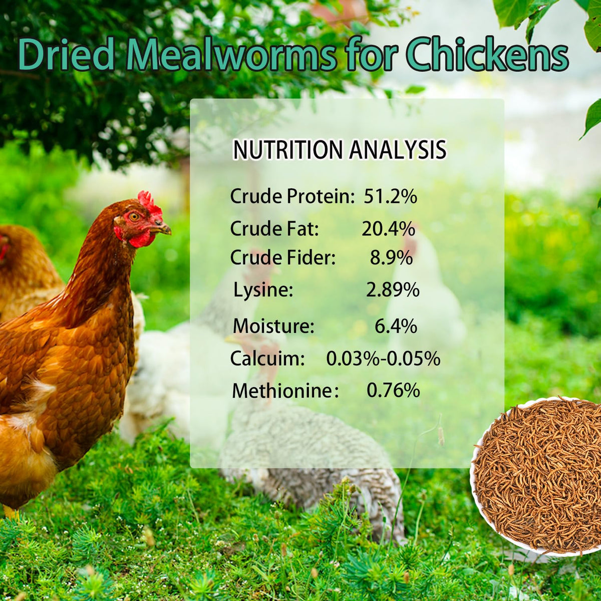 Dried Mealworms 20LB A3067