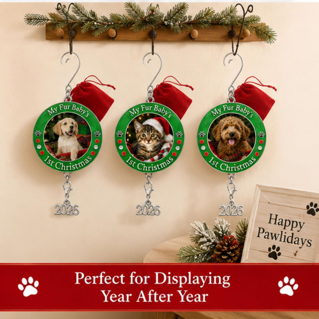 Dog Christmas Photo Ornament 3-Pack 3 Inch V27153