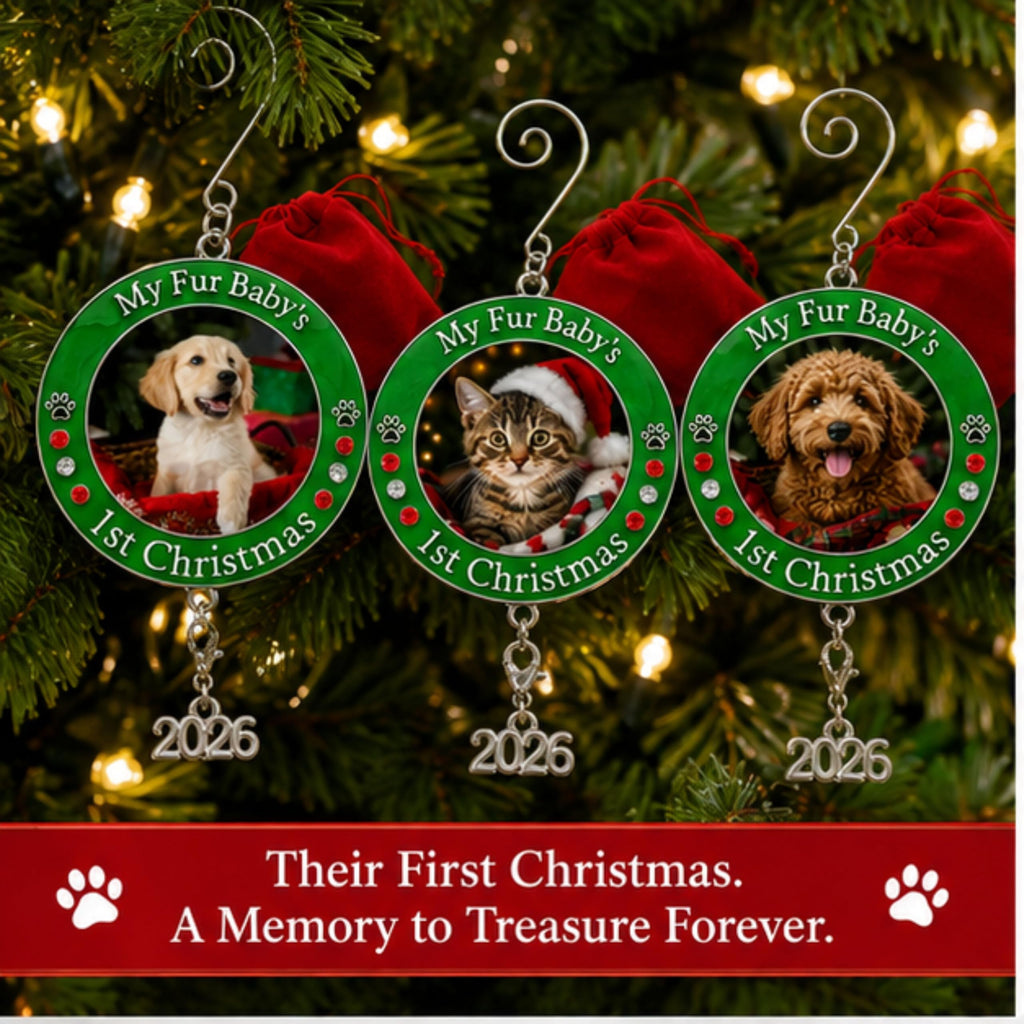 Dog Christmas Photo Ornament 3-Pack 3 Inch V27153