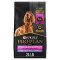 Sensitive Skin & Stomach Dry Dog Food, Lamb, 24 lb Bag G781