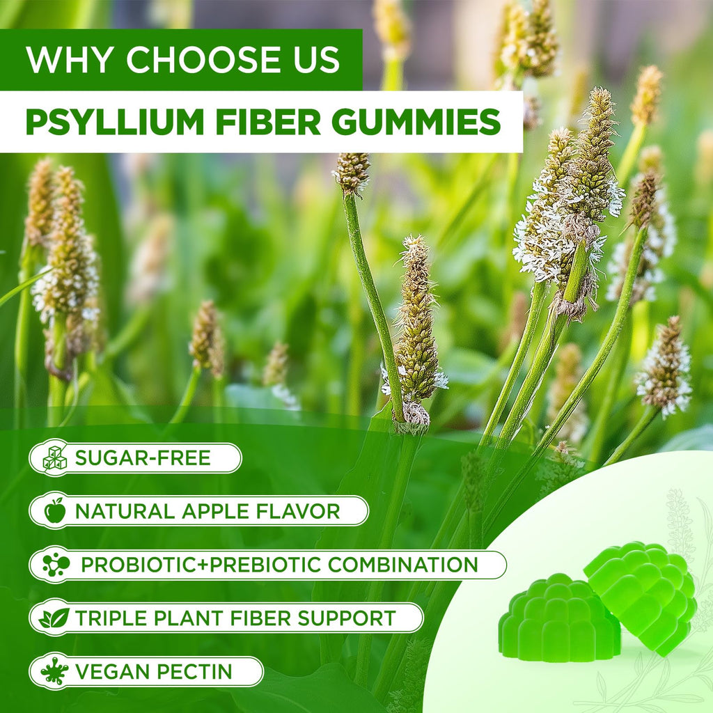 1500mg Psyllium Husk Fiber Gummies with Probiotics, Inulin, Chia Seed, Sugar Free, 60 Chewable J1491