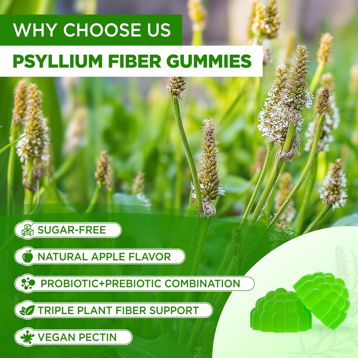 1500mg Psyllium Husk Fiber Gummies with Probiotics, Inulin, Chia Seed, Sugar Free, 60 Chewable J1491
